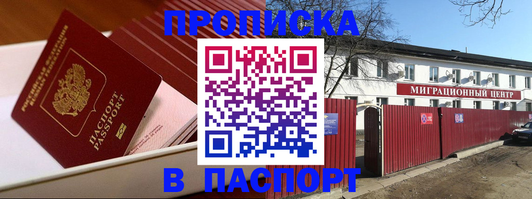 прописка 2025 в Пионерском